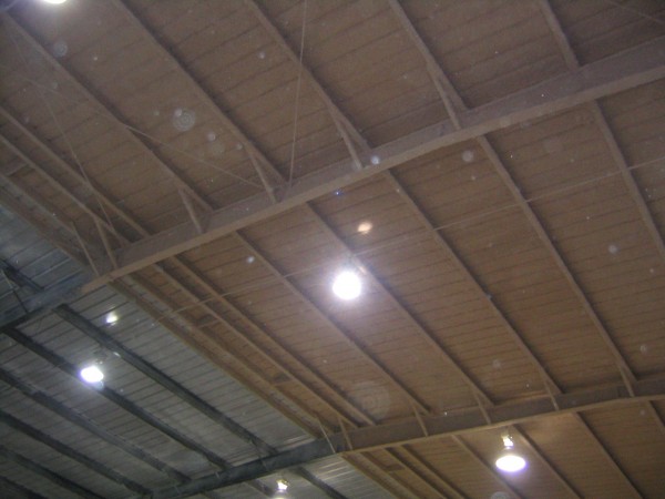 Cellulose on ceiling of metal building Cellulose on ceiling of metal building